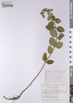 LE 01208359