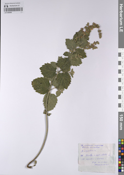 LE 01208360
