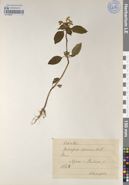 LE 01209329