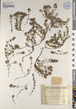 LE 01209335