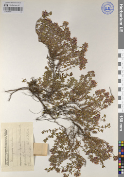 LE 01209347
