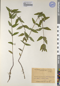 LE 01209441