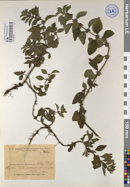 LE 01209443