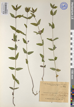 LE 01209445