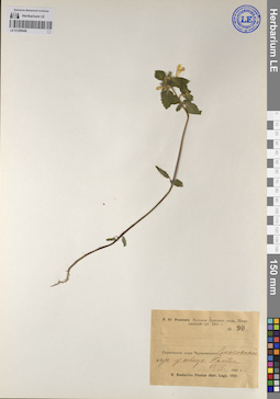 LE 01209446