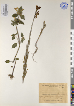 LE 01209449