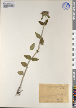 LE 01209461