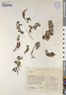 LE 01209485