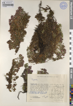 LE 01209501