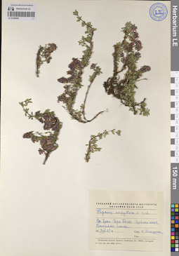LE 01209505