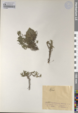 LE 01209641