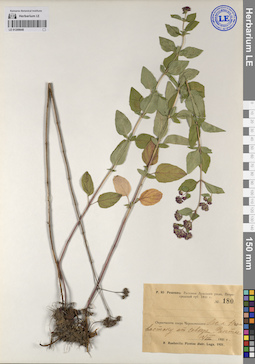 LE 01209648