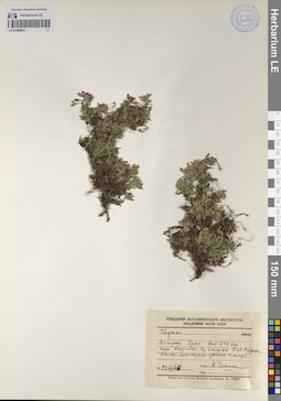 LE 01209651