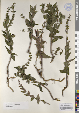 LE 01209693