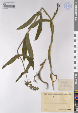 LE 01209826