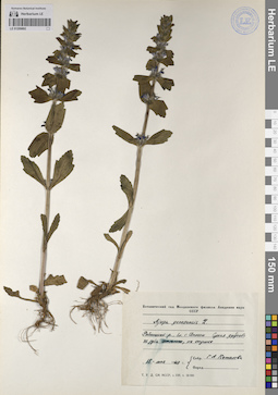 LE 01209892