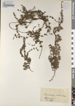 LE 01209903
