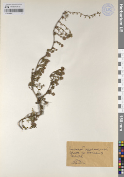 LE 01209907