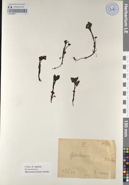 LE 01209912