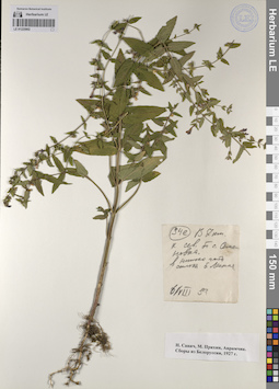 LE 01225902