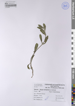 LE 01242634