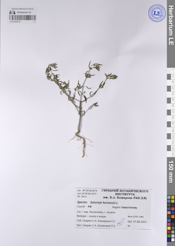 LE 01242770