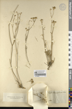 LE 01066022