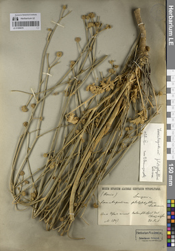 LE 01066078
