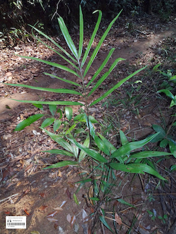 LE 01360304