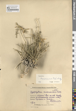 LE 01331193