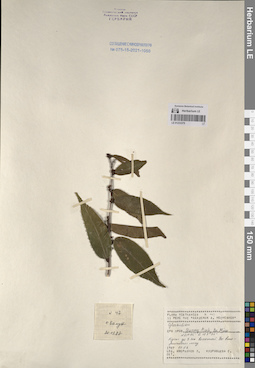LE 01233379