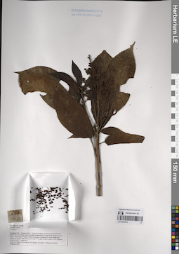 LE 01233472