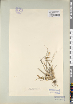 LE 01241483