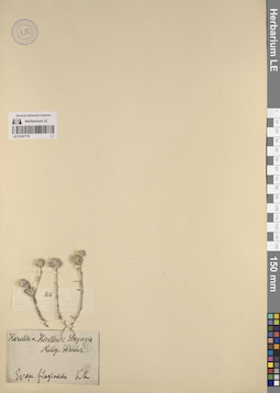 LE 01247715