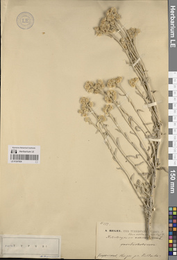 LE 01247824