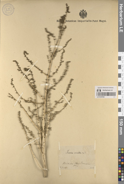LE 01247936