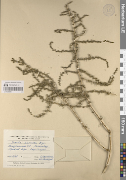 LE 01248046