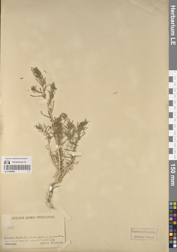 LE 01248060