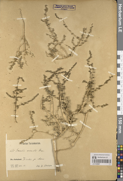 LE 01248087