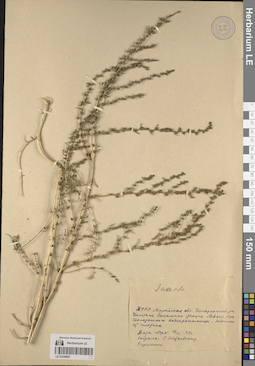 LE 01248097