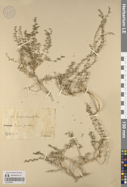 LE 01248104