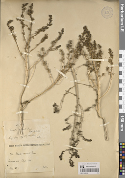 LE 01248106
