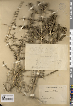 LE 01248109