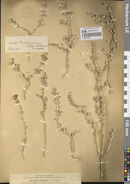 LE 00053861