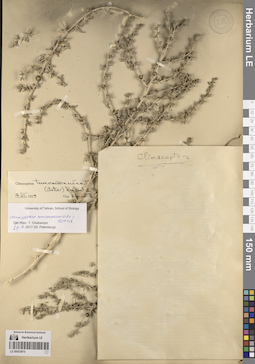 LE 00053870