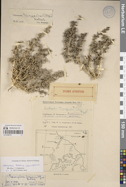 LE 01248179