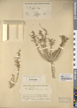 LE 01248189