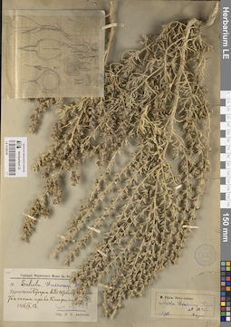 LE 01248190