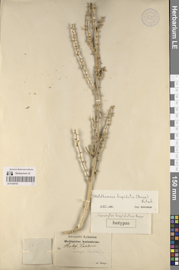 LE 01248193