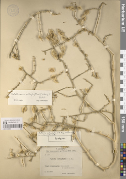 LE 01248202